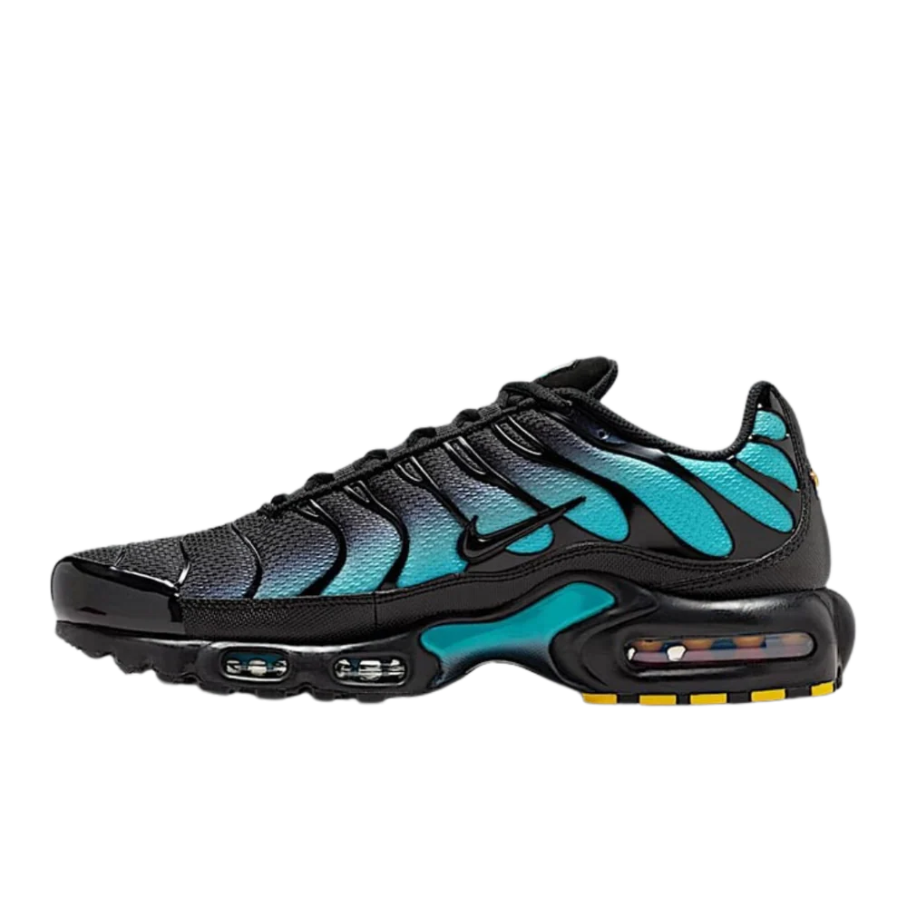 Nike Air Max Plus Black Dusty Cactus