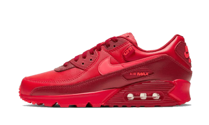 Nike Air Max 90 City Special Chicago (GS)