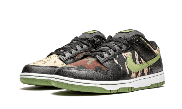 Nike Dunk Low Crazy Camo (GS)