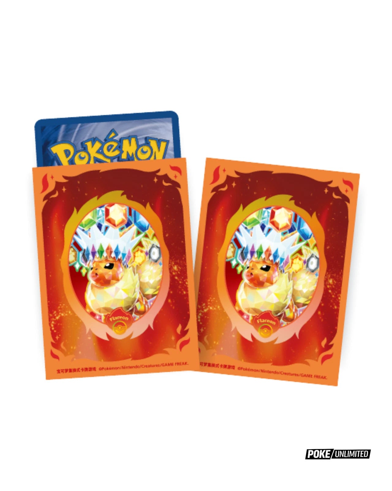 2026 Pokémon Terastal Gathering Flareon Binder Set (Simplified Chinese)