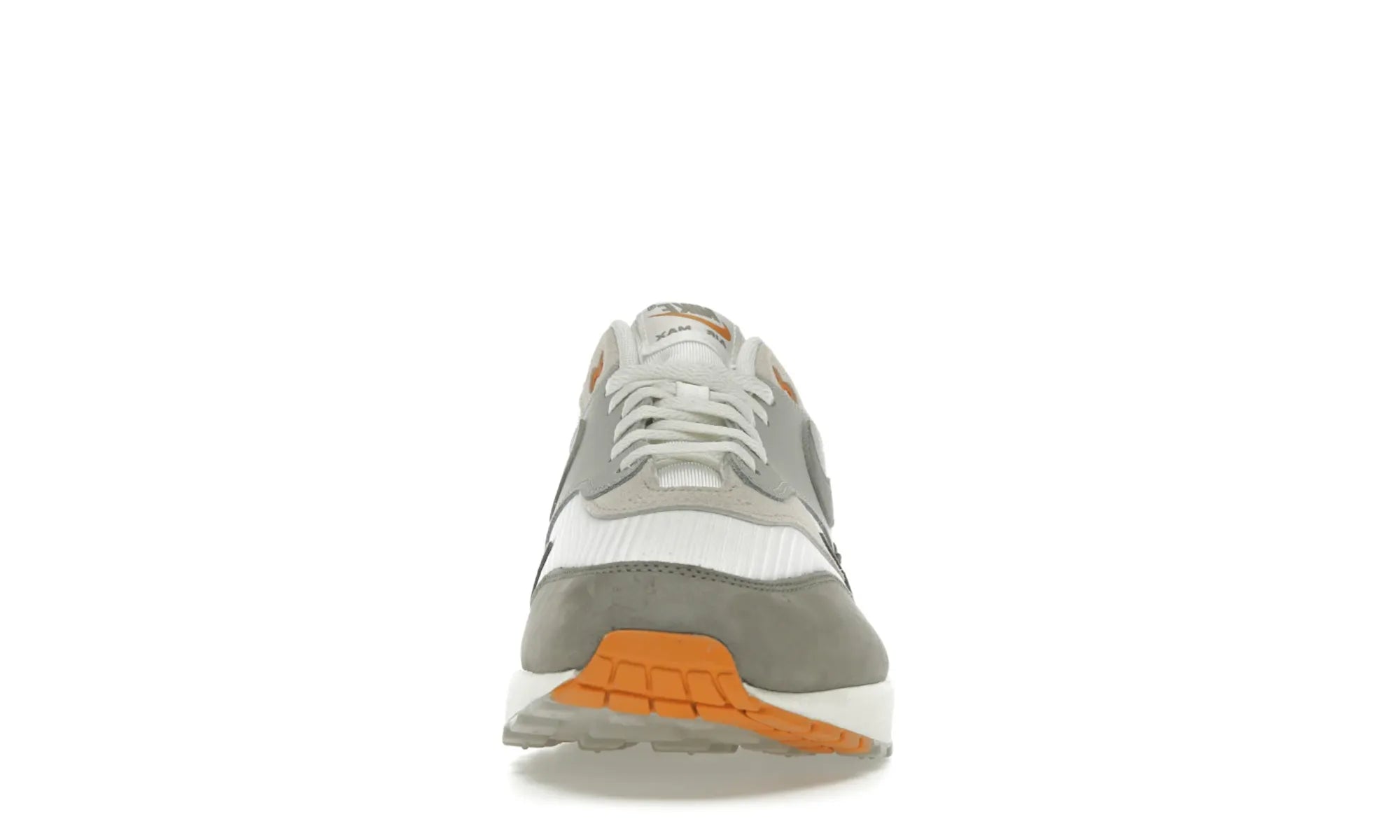 Nike Air Max 1 Light Iron Ore Flat Pewter - resellguru.app