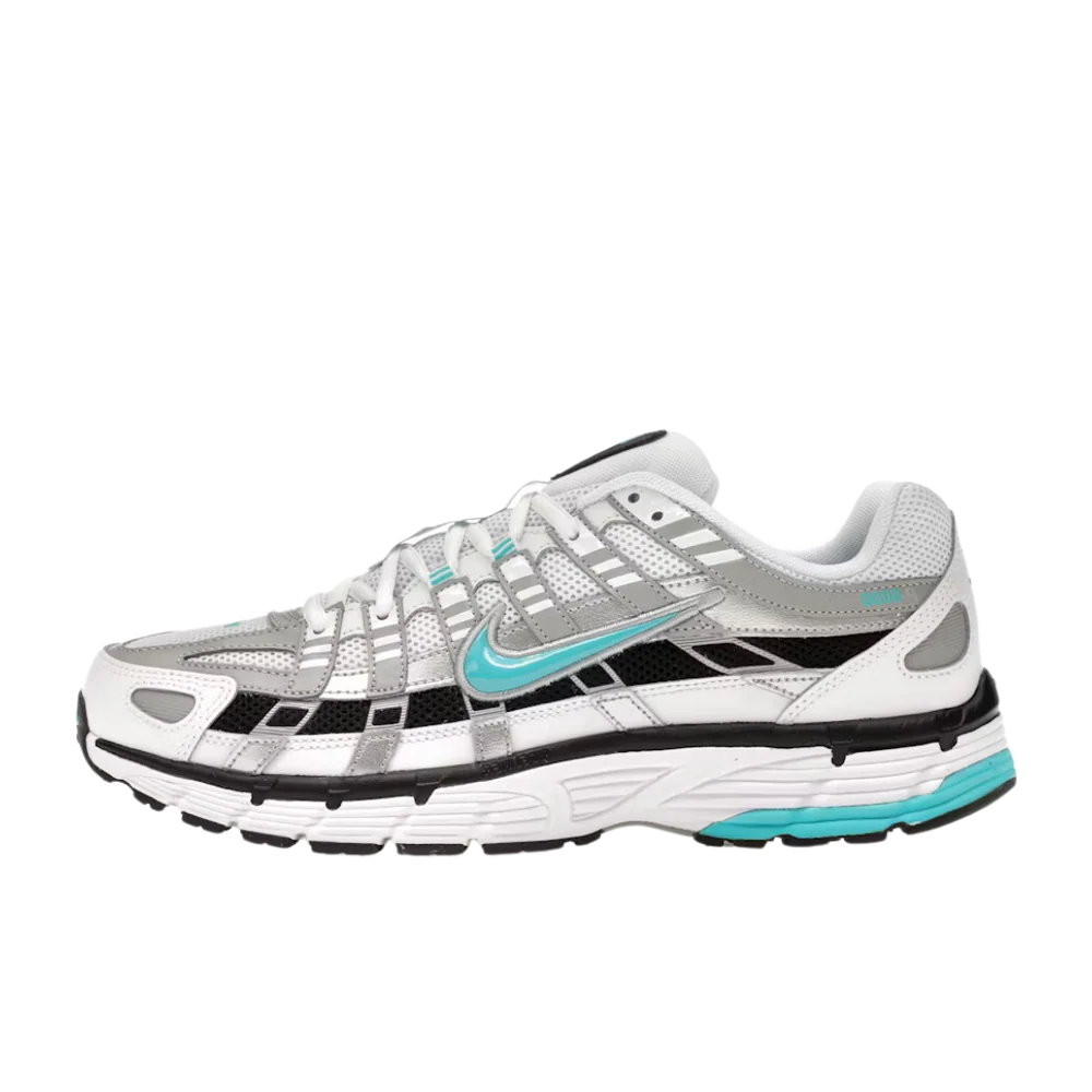 Nike P-6000 Dusty Cactus