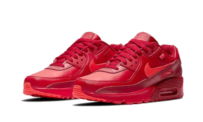 Nike Air Max 90 City Special Chicago (GS)