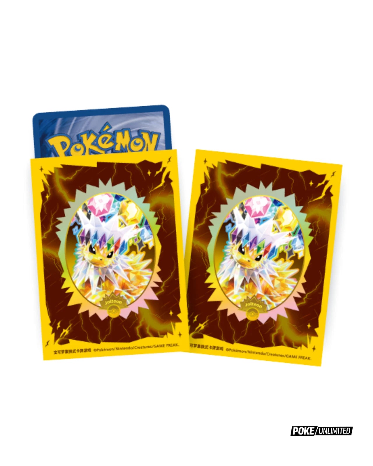 2026 Pokémon Terastal Gathering Jolteon Binder Set (Simplified Chinese)